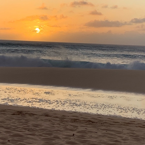 Meet your Posher, Ingrid - Picture 4 of 4